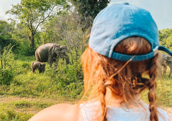 Elephant Safari Sri Lanka