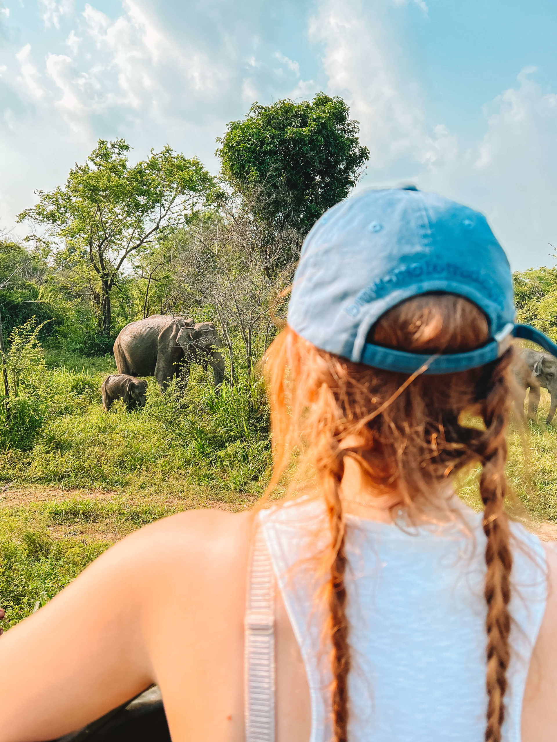 Elephant Safari Sri Lanka