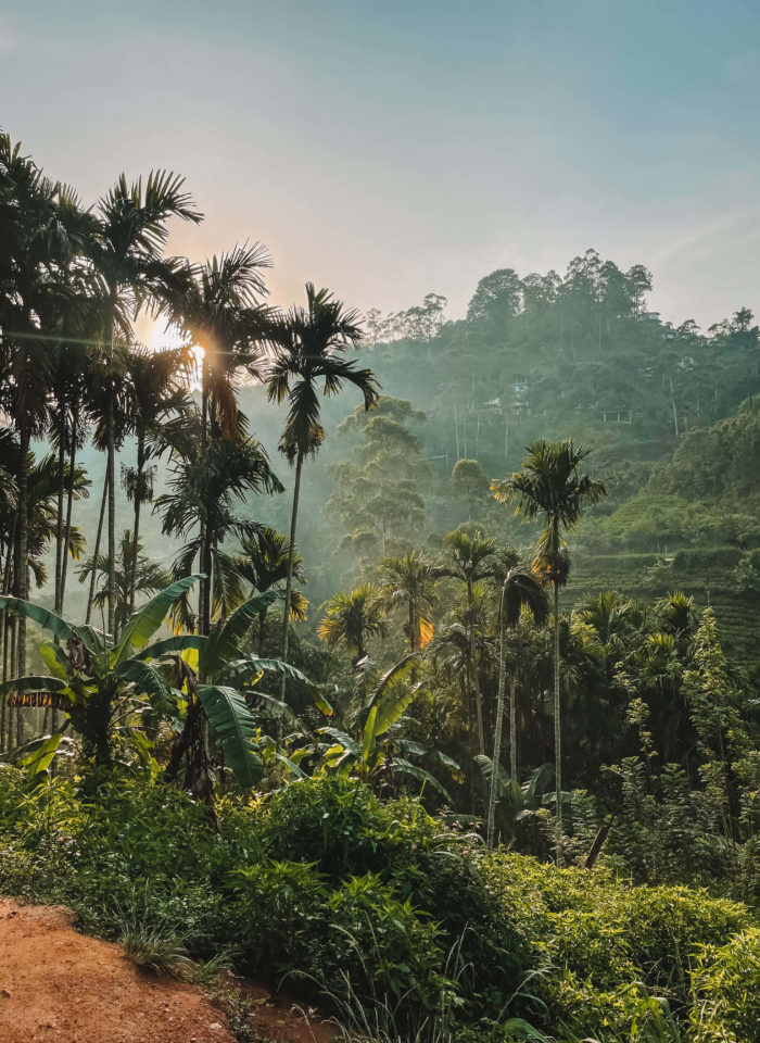 2 Week Itinerary for Sri Lanka