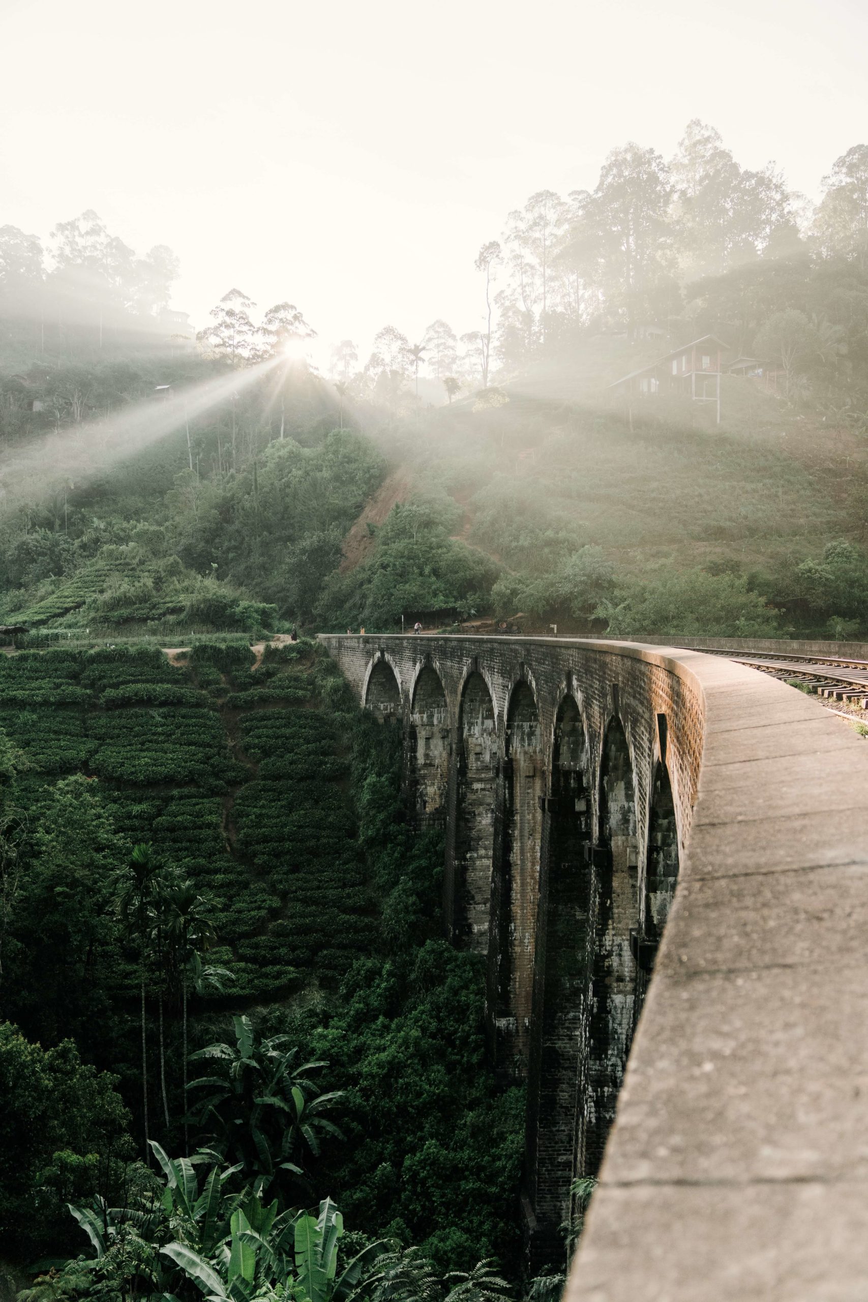 Top things to do in Ella, Sri Lanka